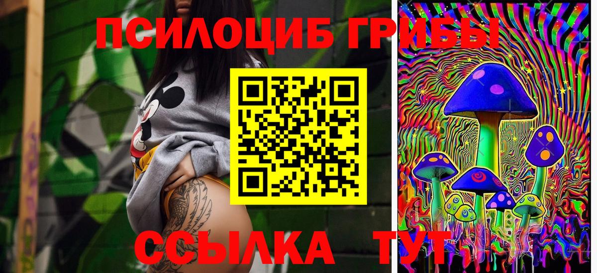 Псилоцибиновые грибы Psilocybine cubensis Печора