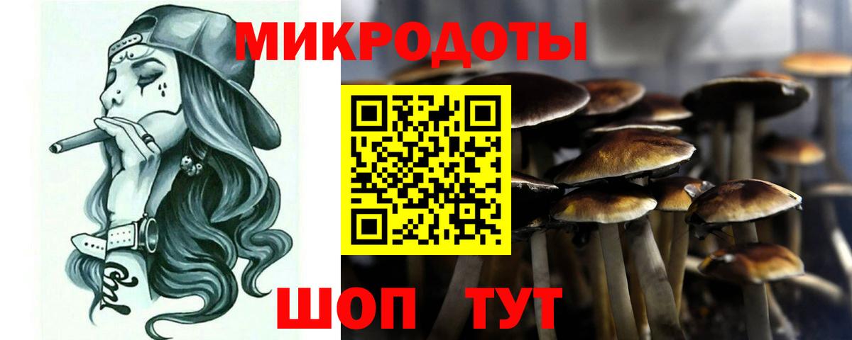 Галлюциногенные грибы GOLDEN TEACHER  Галлюциногенные грибы Psilocybe  как найти   Печора  Вход с VPN 